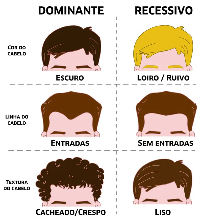 Fenótipo
