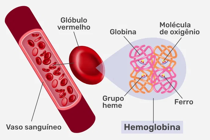 hemoglobina